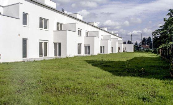 Foto Dorfstrasse – Wildes Wohnen