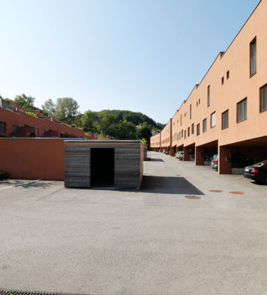 Foto Alphawolf Viktor-Zack-Weg